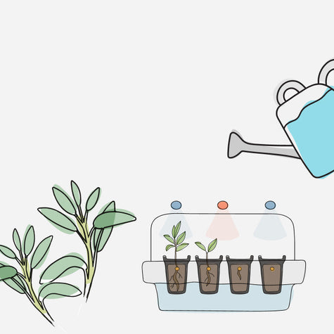 6 Ways Gardening Leads to Personal Growth