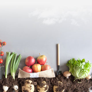 Start Your Outdoor Garden Inside with a Rise Garden