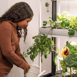 Hydroponic Gardens: Create a Thriving Indoor Oasis