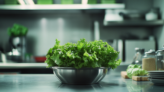 Hydroponic Lettuce: What To Know