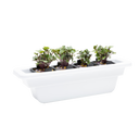 Accessories & Addons