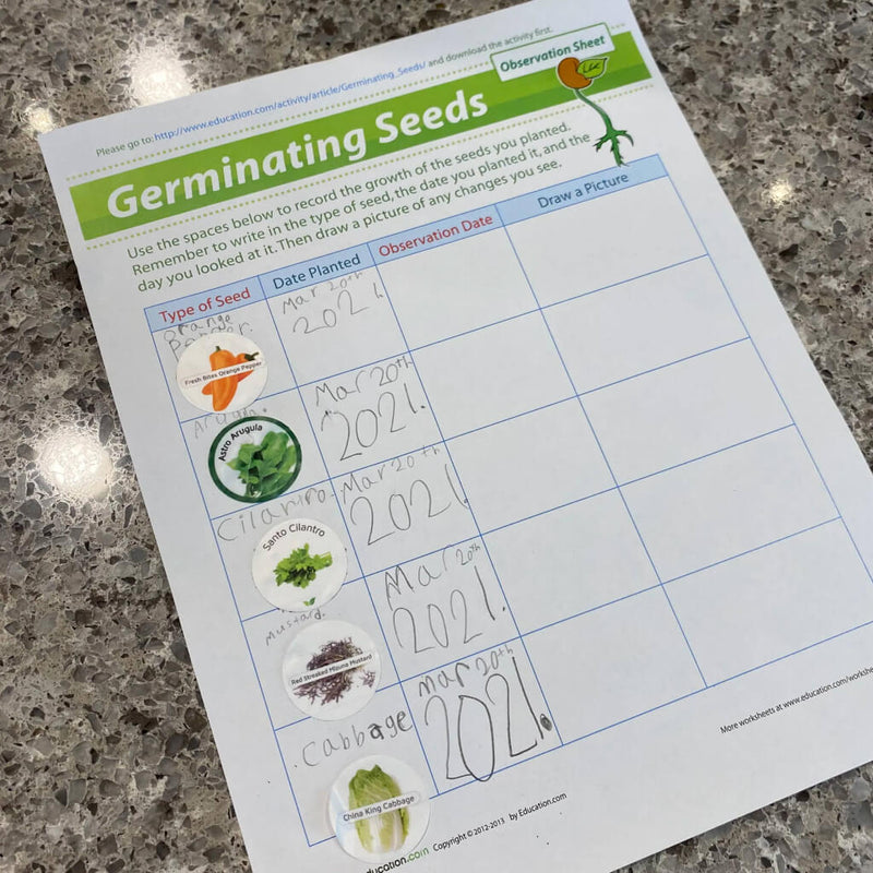 5_Educational_Science_Activities_for_Kids_with_your_Rise_Gardens-2-2.jpg risegardens