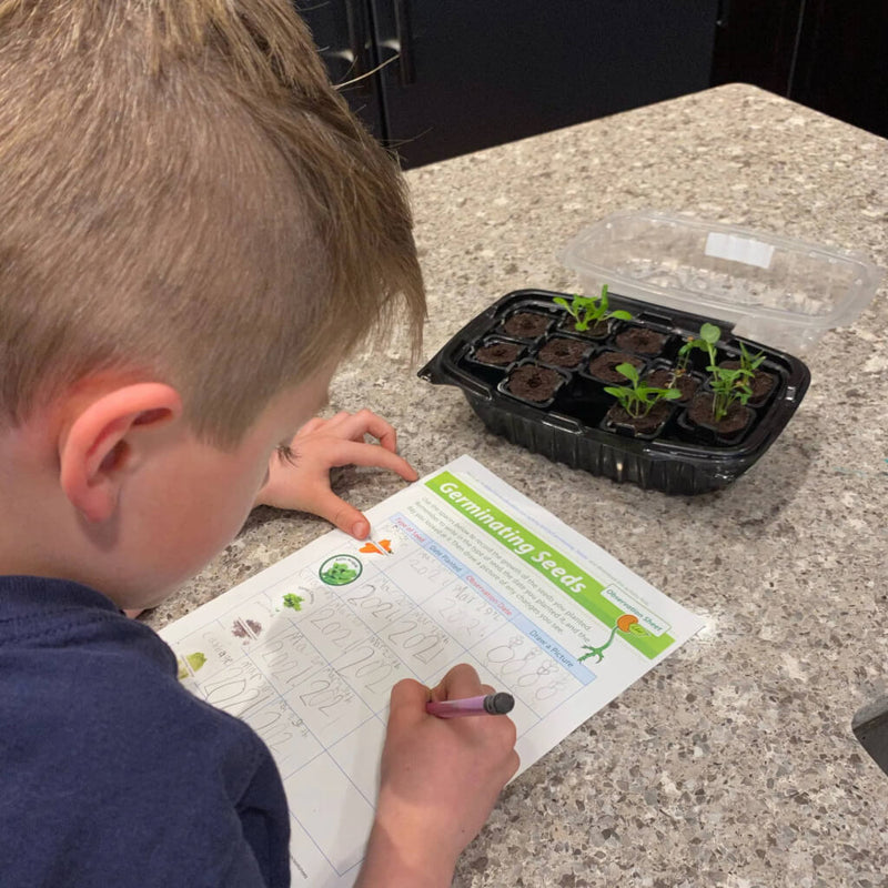 5_Educational_Science_Activities_for_Kids_with_your_Rise_Gardens-2-3.jpg risegardens