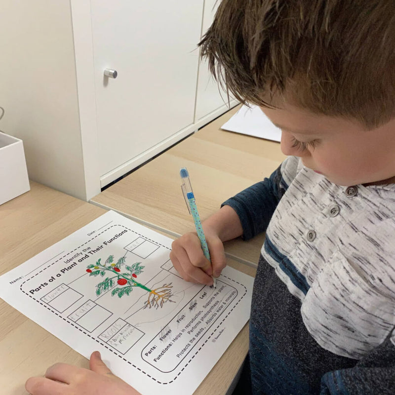 5_Educational_Science_Activities_for_Kids_with_your_Rise_Gardens-3-2.jpg risegardens