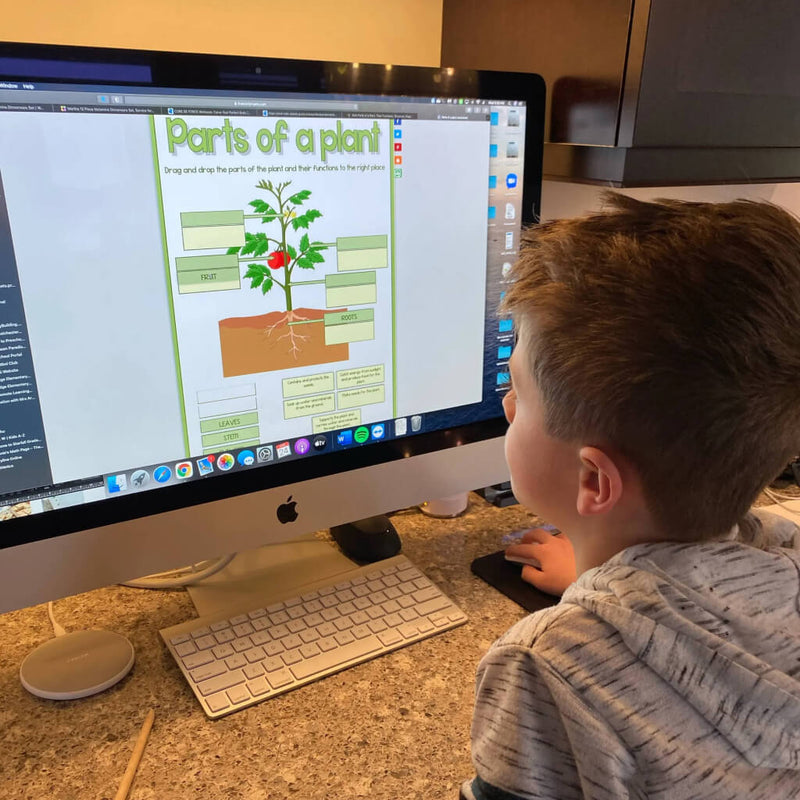 5_Educational_Science_Activities_for_Kids_with_your_Rise_Gardens-3-3.jpg risegardens