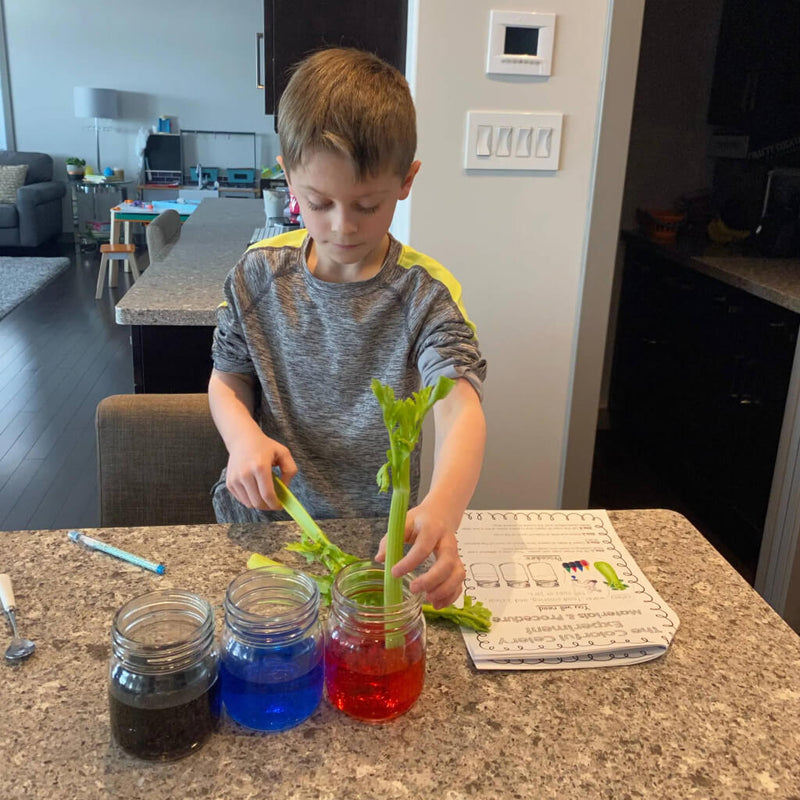 5_Educational_Science_Activities_for_Kids_with_your_Rise_Gardens-6-3.jpg risegardens