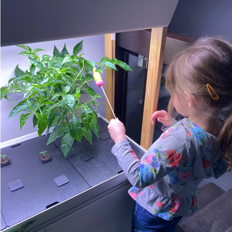 5_Educational_Science_Activities_for_Kids_with_your_Rise_Gardens-7-3.jpg risegardens