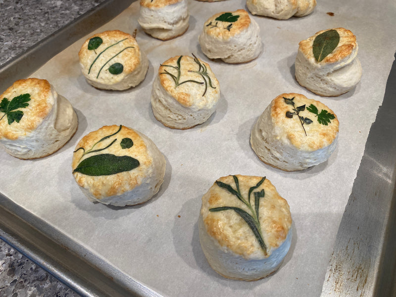 Biscuit3.jpg risegardens