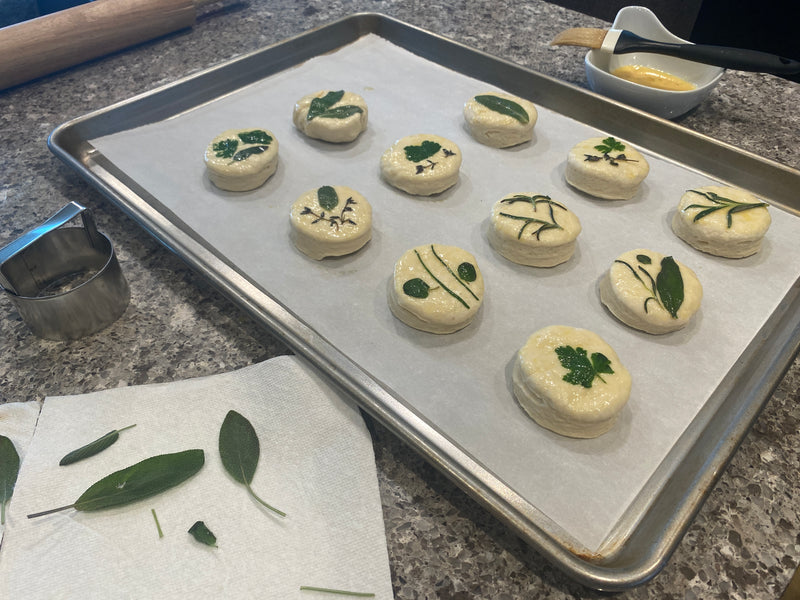 Biscuit4.jpg risegardens