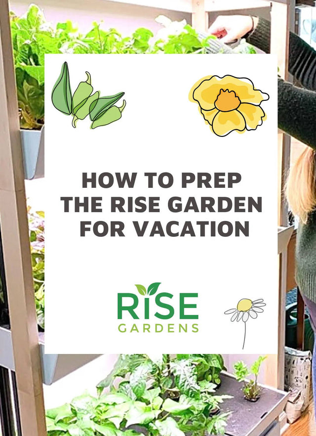 Rise Gardens