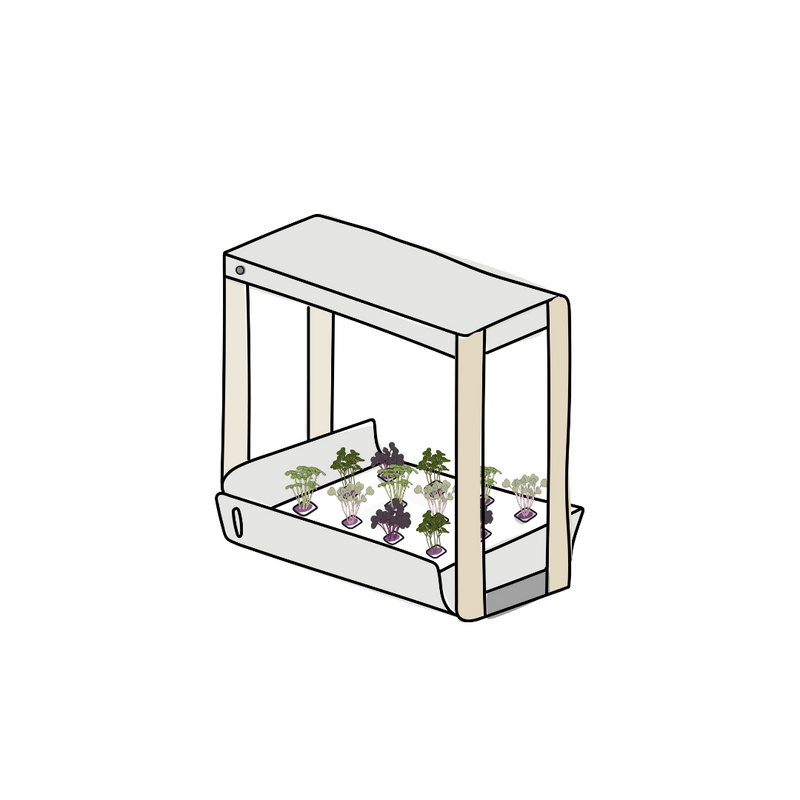 Microgreens1.png risegardens