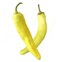 Hydroponic Banana pepper