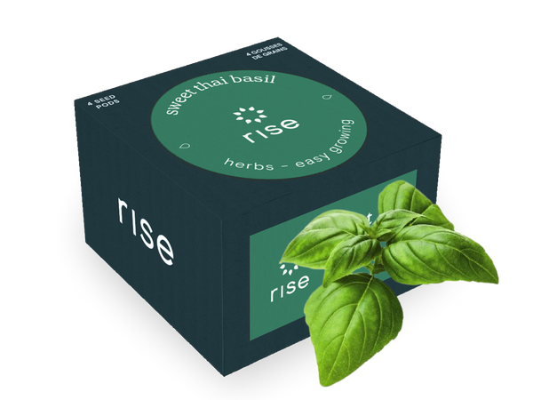 Basil Seeds for Indoor Herb Garden Rise Gardens