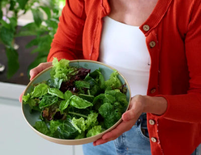 Salad made from fresh hydroponically grown greens
