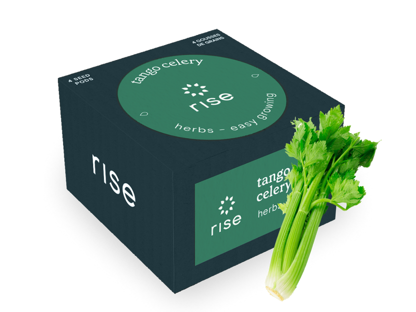 Tango Celery