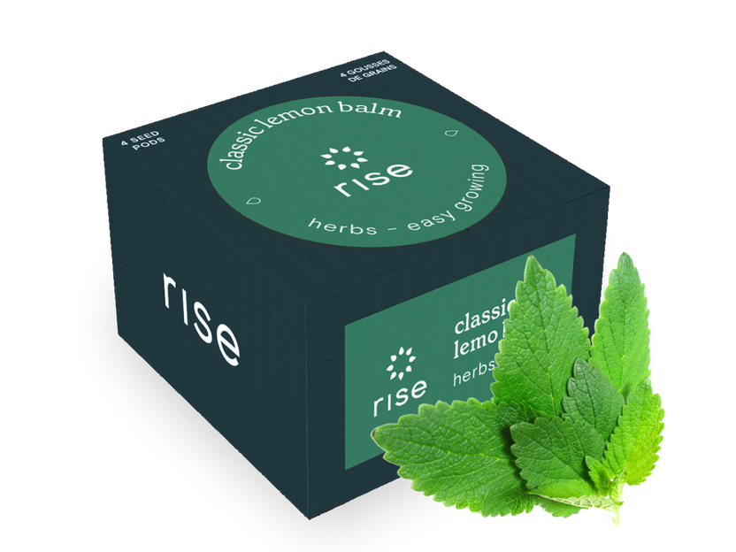 Classic Lemon Balm