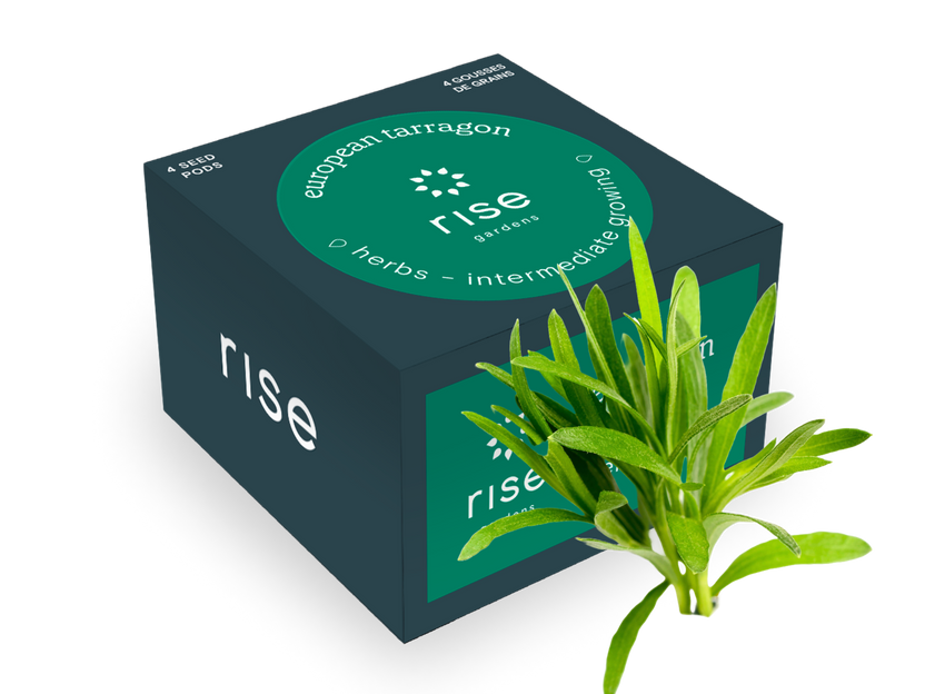 4 pack european tarragon hydroponic seedpods