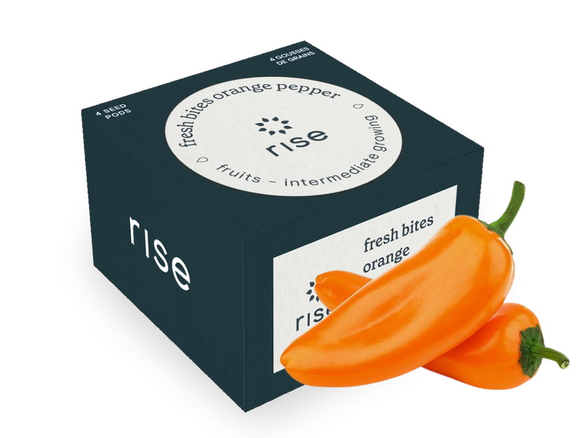 Fresh Bite Orange Pepper
