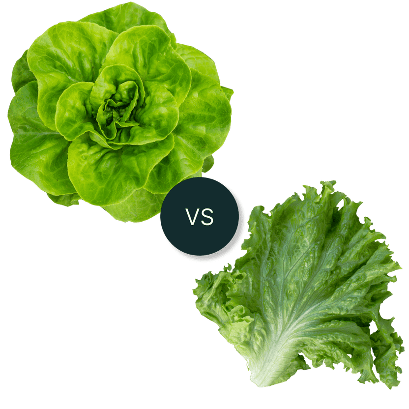 Fresh home grown produce vs store bought produce -