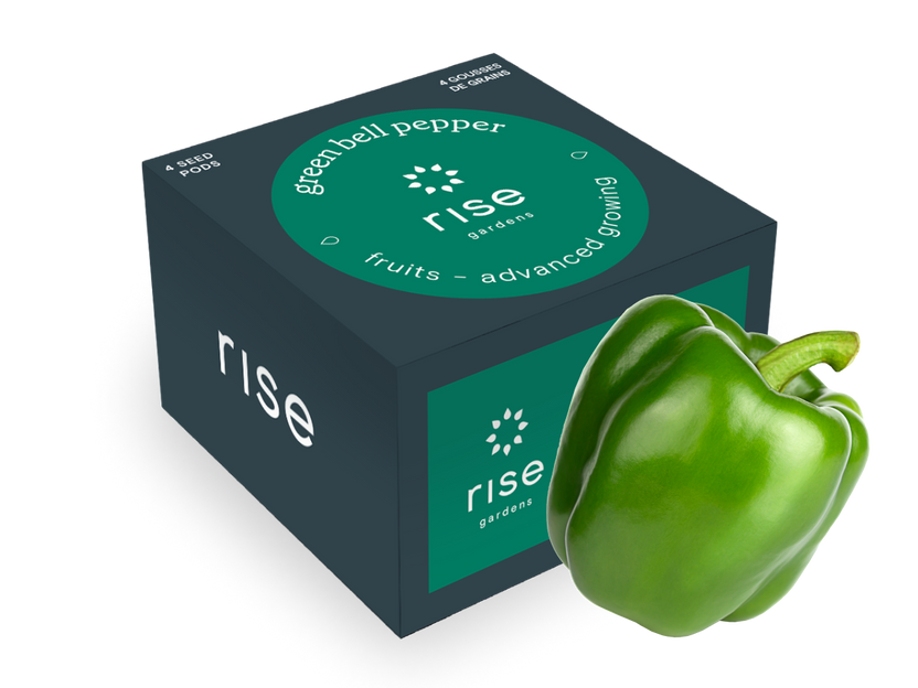 4 pack green bell pepper hydroponic seedpods