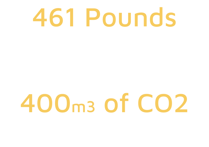 Average food waste per household