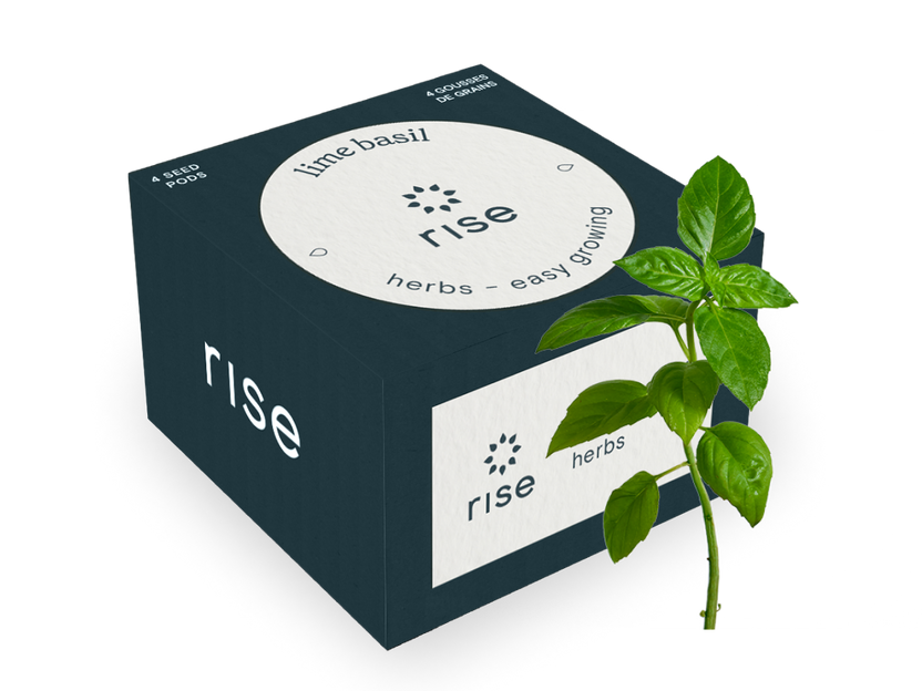 Lime Basil