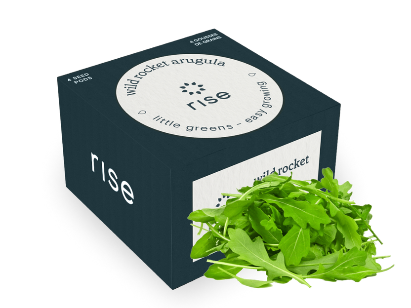 Wild Rocket Arugula