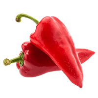 Pepper Mamba Sweet Red