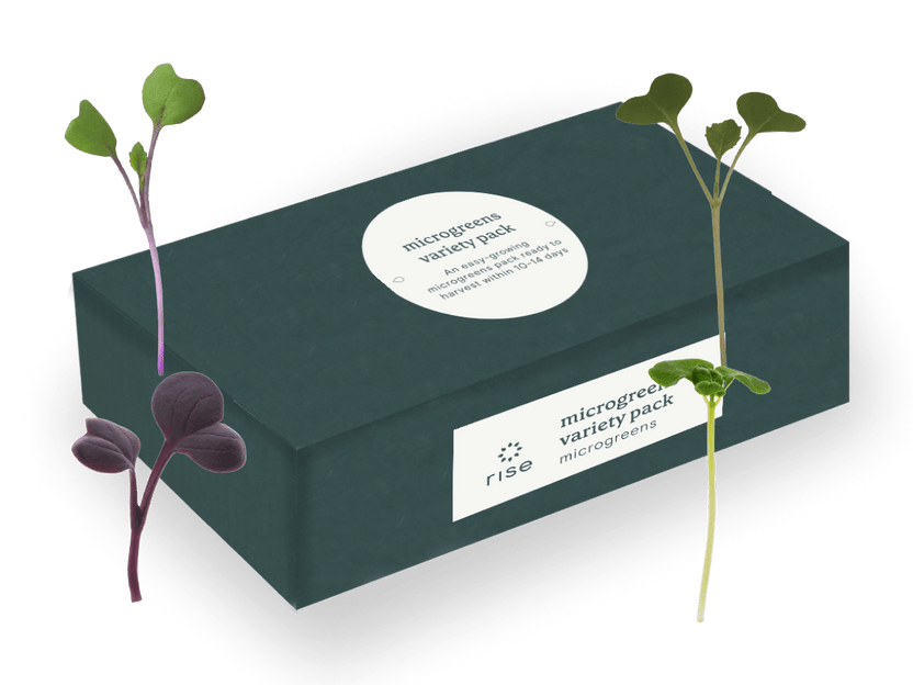 Microgreen variety pack fro hydroponic system