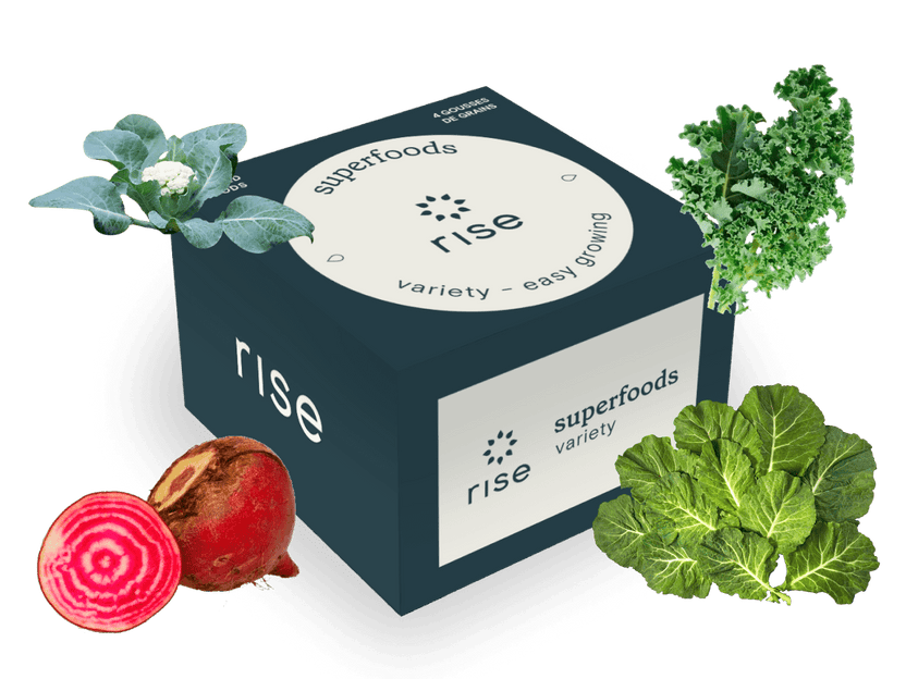 Superfoods Variety pack