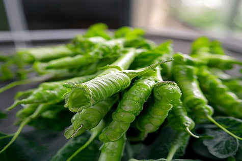 Snap Peas: Elevate Your Winter Snacking Experience | Rise Gardens