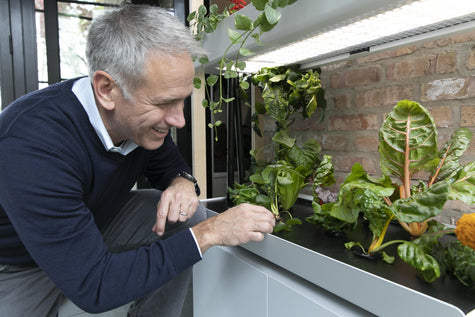 Hydroponic Garden Electricity Cost Per Month: A Complete Breakdown | Rise Gardens