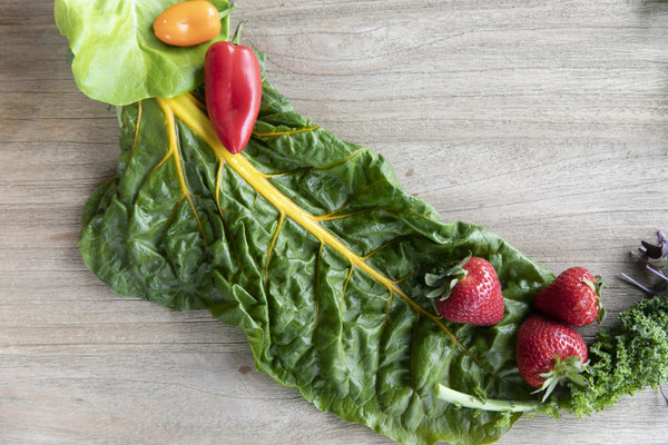 pH Fluctuations in Your Hydroponic Reservoir: Causes, Fixes, and Prevention | Rise Gardens