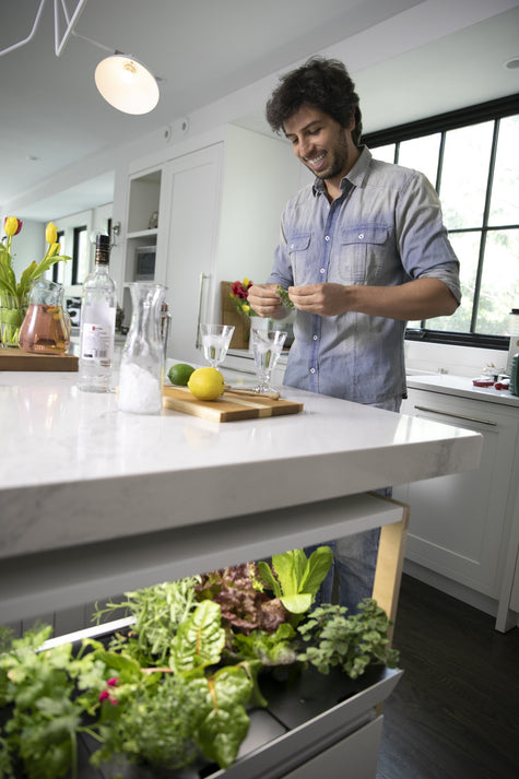 How Often to Change Hydroponic Reservoir Water (And How to Know When It's Time) | Rise Gardens