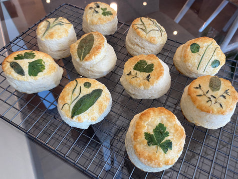 How to Laminate Herbs onto Biscuits