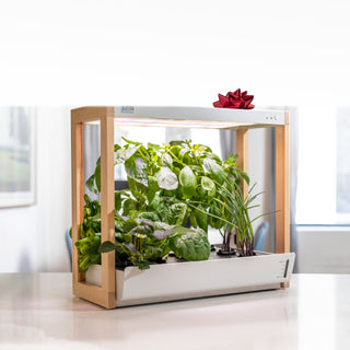 Buy something special for someone special... - Rise Gardens US