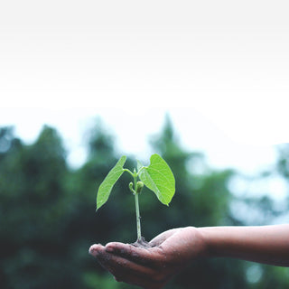Earth Day: Transforming the Food System One Garden at a Time