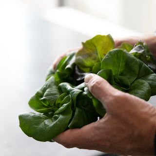 Five Easy Ways to Add More Vegetables to Your Diet