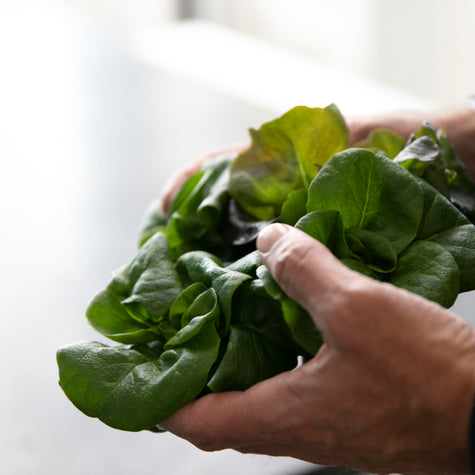 Five Easy Ways to Add More Vegetables to Your Diet