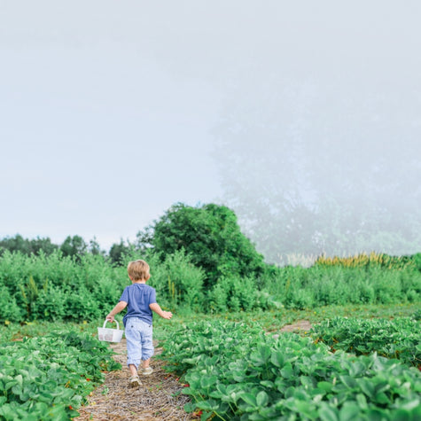 Gardening with Family