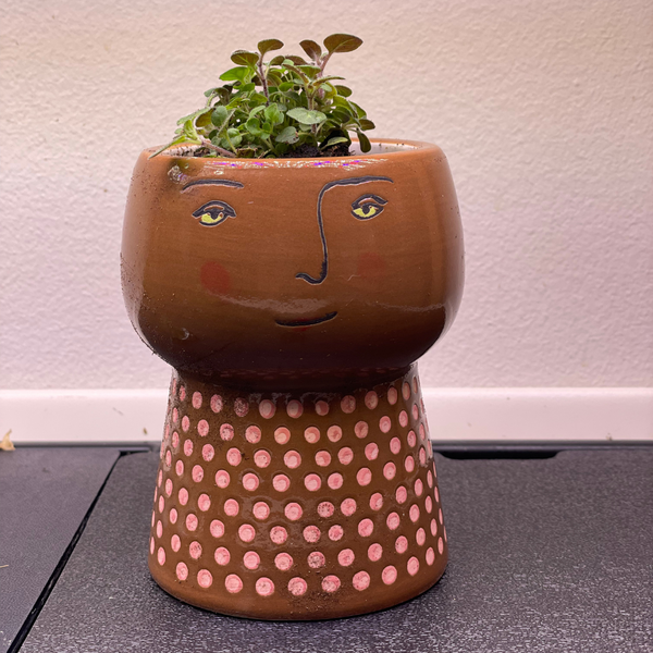 Hostess Gift Idea: Gift a Plant from your Rise Garden - Lifestyle | Rise Gardens