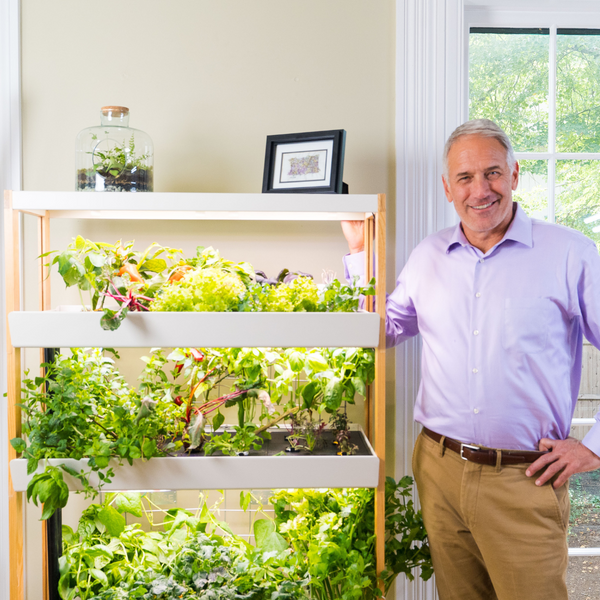 From our CEO: Reflections on 2022 - General | Rise Gardens