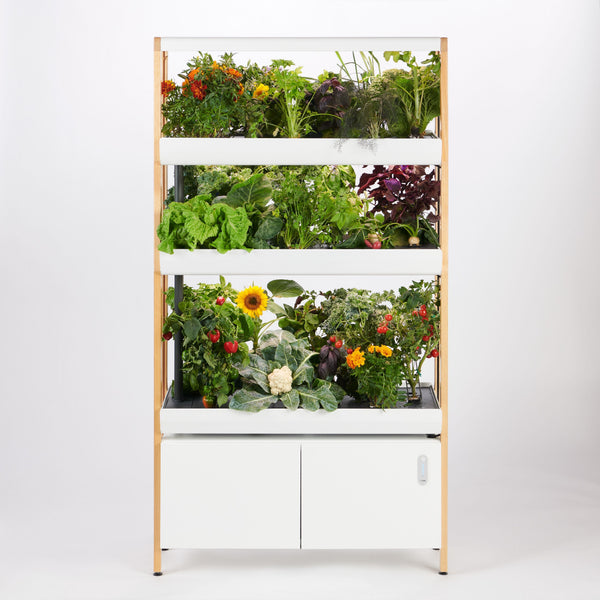 What's New about The New Rise Garden - General,Lifestyle | Rise Gardens