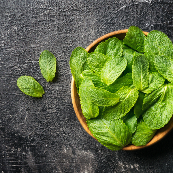 Fresh mint leaves in bowl
