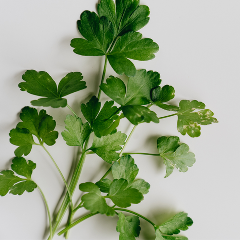 Kelsey’s Favorite Ways To Use Parsley