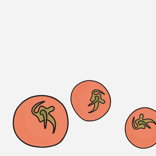 Rise Gardens Helps You Grow the Perfect Tomato in Your Living Room - Rise Gardens US