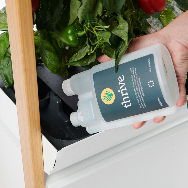 Top Questions about Rise Nutrients - Gardening Tips | Rise Gardens