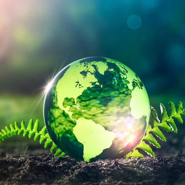 Rise Gardens 2023 Sustainability Impact Report - Sustainability | Rise Gardens