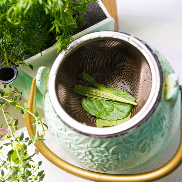 Find the Perfect Tea Blend for Your Astrological Sign - Lifestyle | Rise Gardens