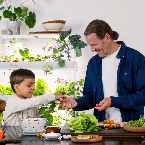 Perfect Your Indoor Home Garden with Fresh Flavors - General | Rise Gardens